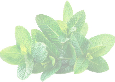 Master slider in ipad