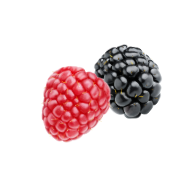 Master slider in ipad